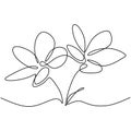 Beautiful flower in minimal line style. Continuous single line drawing of flower hand-drawn picture silhouette. Branch with