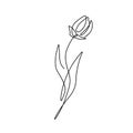 Beautiful flower in minimal line style. Modern fashion linear tulip for logo, emblem template. Vector illustration