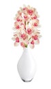 Beautiful flower Orchid, pink phalaenopsis in vase isolated on w Royalty Free Stock Photo