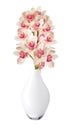 Beautiful flower Orchid, pink phalaenopsis in vase isolated Royalty Free Stock Photo