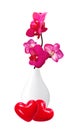 Beautiful flower Orchid, pink phalaenopsis in vase isolated Royalty Free Stock Photo