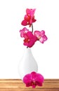 Beautiful flower Orchid, pink phalaenopsis in vase Royalty Free Stock Photo
