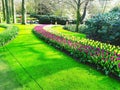 Beautiful Flower Path in Keukenhof Garden, Netherlands.