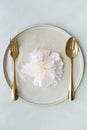 Beautiful flower on a plate with golden spoon and fork Royalty Free Stock Photo
