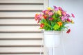 Beautiful Flower pot Royalty Free Stock Photo