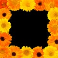 Beautiful Flower rectangle frame