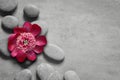 Flower and stone zen spa on grey background