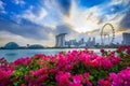 Beautiful Flower And View Of Central Singapore: Marina Bay Sands Hotel, Flyer Wheel, ArtScience Museum And Supergrove