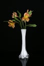 Beautiful flower in white vase