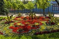 Beautiful flowerbed in resort Pyatigorsk.