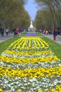 Beautiful flowerbeds spring city park