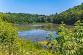 Beautiful flowering lake in the middle of a deciduous forest