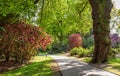 Beautiful flowers alley in the green park