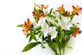 Beautiful flowers Alstroemeria white red maroon