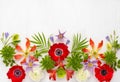 Beautiful Flowers Arrangement. Composition of red anemone,white ranunculus, tropical flowers, green succulent and leaves on light Royalty Free Stock Photo