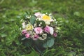 Beautiful flowers arrangement with white eustoma, spray roses, carnations in the mint tea cup in the grass