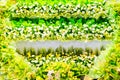 Beautiful flowers background wedding scene Royalty Free Stock Photo