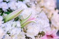 Beautiful flowers background for wedding scene Royalty Free Stock Photo