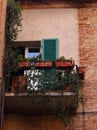 Beautiful flowers on the balcony on the old histiric europe ital Royalty Free Stock Photo