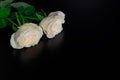 Beautiful flowers on black background with two cream roses bouquet Royalty Free Stock Photo