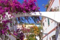 Gorgeous flowers of Puerto de Mogan, Gran Canaria, Canary islands Royalty Free Stock Photo