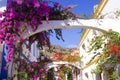 Gorgeous flowers of Puerto de Mogan, Gran Canaria, Canary islands Royalty Free Stock Photo