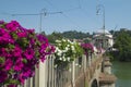 Beautiful flowers on the bridge over Po river in Turin Royalty Free Stock Photo