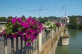 Beautiful flowers on the bridge over Po river in Turin Royalty Free Stock Photo
