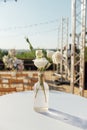 Beautiful flowers decorated on the table. Tables set for an event party or wedding reception. Royalty Free Stock Photo