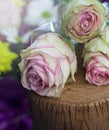 Beautiful flowers decoration on the tree stump. Royalty Free Stock Photo