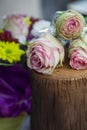 Beautiful flowers decoration on the tree stump. Royalty Free Stock Photo