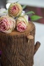 Beautiful flowers decoration on the tree stump. Royalty Free Stock Photo