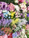 Flowers on display at flower shop Royalty Free Stock Photo