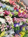 Flowers on display at flower shop Royalty Free Stock Photo