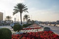 Beautiful flowers in Doha Corniche