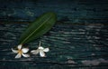 Beautiful flowers falling on the old wooden floor.