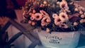 Beautiful flowers in a flowerpot on a vintage background. with vintage filter.