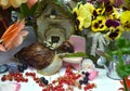 Beautiful flowers, funny snails and adorable tiny house for dolls in the garden