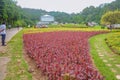 Beautiful Flowers Garden field at Queen Sirikit botanic garden Royalty Free Stock Photo