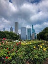 Beautiful flowers in Grant Park in Chicago, Illinois Royalty Free Stock Photo