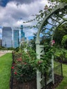 Beautiful flowers in Grant Park in Chicago, Illinois Royalty Free Stock Photo