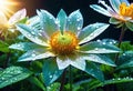 beautiful flowers with green leaves and refracting water drops, floral patterns,