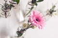 Beautiful flowers hang on white wall. DIY Home natural Decor. Old glass jars are reused as flower vases