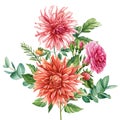 Beautiful flowers isolated on white background. Hand-drawn in watercolor, a bouquet of dahlia and rose flowers Royalty Free Stock Photo