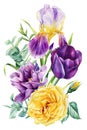Beautiful flowers on isolated white background, iris, tulip, hyacinth, green leaves, watercolor botanical bouquet Royalty Free Stock Photo