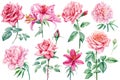 Beautiful flowers on isolated white background, watercolor botanical illustration, roses, lilies and peonies