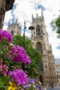 Beautiful flowers and lamp post in the foreground with York Minster Cathedral in the background on a summer day in Yorkshire, Engl Royalty Free Stock Photo