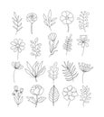 Beautiful flowers and leaves set isolated on white background. Black and white modern art. Hand drawn outline vector illustration Royalty Free Stock Photo