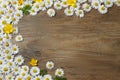 Beautiful flowers and leaves on wooden table, flat lay. Space for text Royalty Free Stock Photo