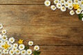 Beautiful flowers and leaves on wooden table, flat lay. Space for text Royalty Free Stock Photo